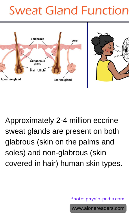 General Knowledge Learning Cards