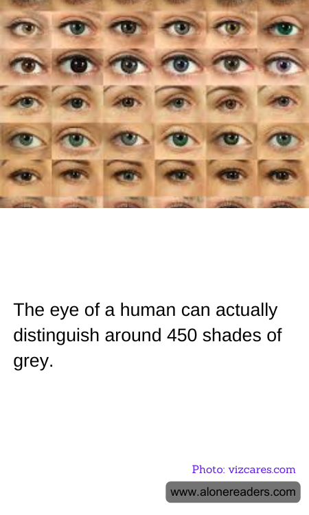 General Knowledge Learning Cards