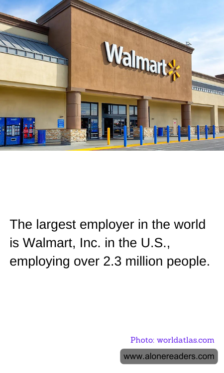 General Knowledge Learning Cards