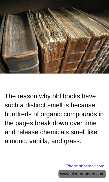 General Knowledge Learning Cards