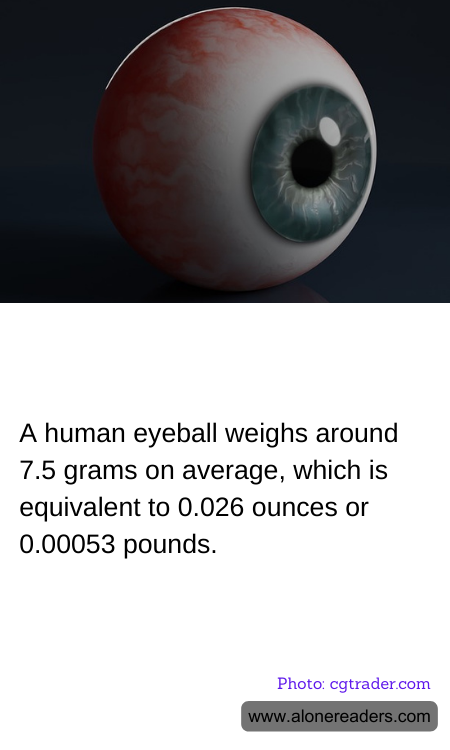 A human eyeball weighs around 7.5 grams on average, which is equivalent to 0.026 ounces or 0.00053 pounds.