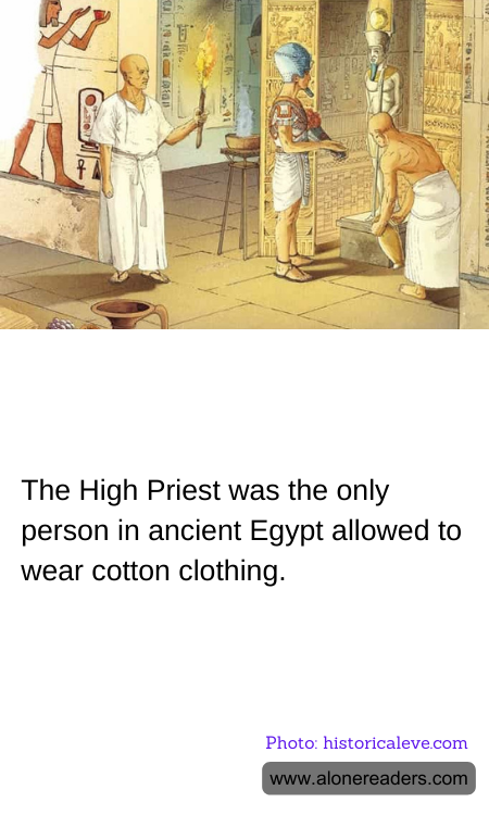 The High Priest was the only person in ancient Egypt allowed to wear cotton clothing.