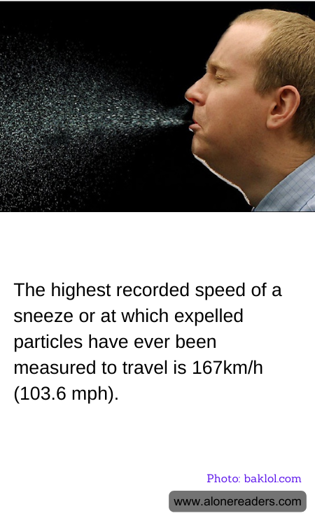 The highest recorded speed of a sneeze or at which expelled particles have ever been measured to travel is 167km/h (103.6 mph).