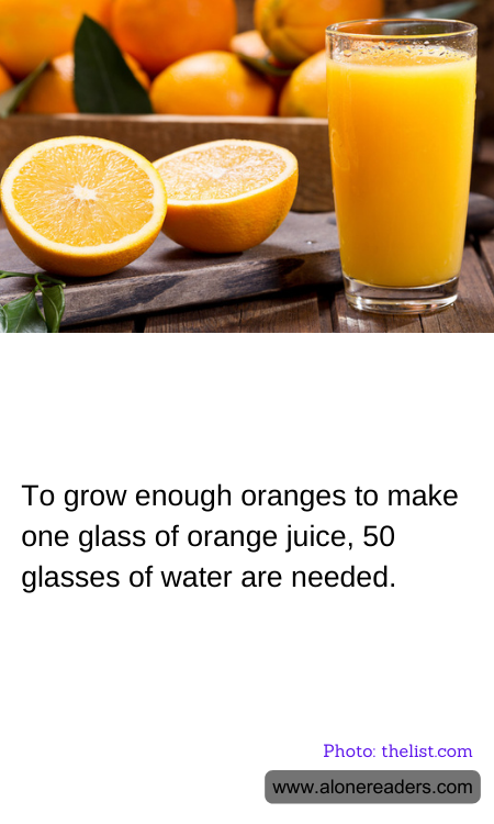 To grow enough oranges to make one glass of orange juice, 50 glasses of water are needed.