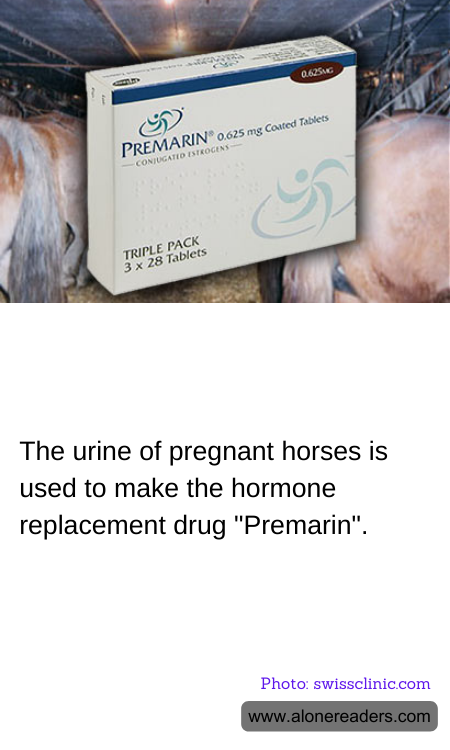 The urine of pregnant horses is used to make the hormone replacement drug "Premarin".
