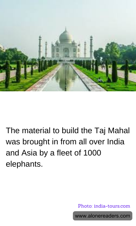 The material to build the Taj Mahal was brought in from all over India and Asia by a fleet of 1000 elephants.