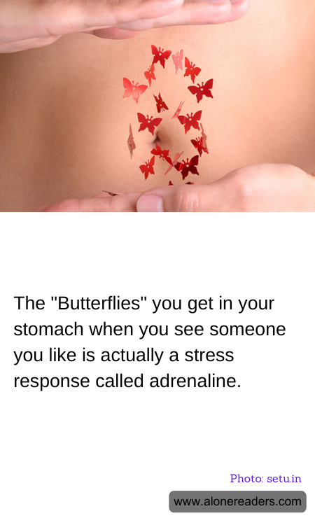 The "Butterflies" you get in your stomach when you see someone you like is actually a stress response called adrenaline.