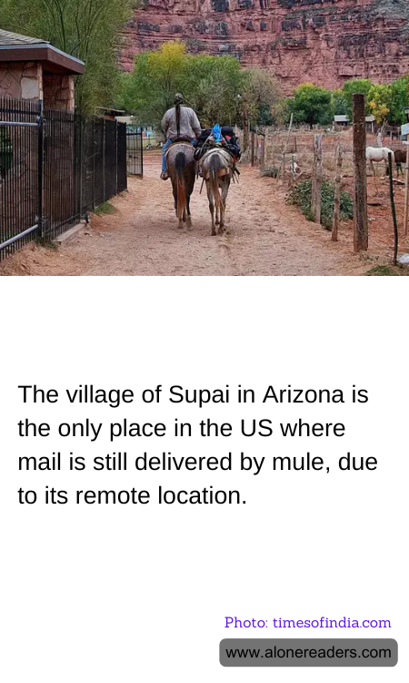 The village of Supai in Arizona is the only place in the US where mail is still delivered by mule, due to its remote location.