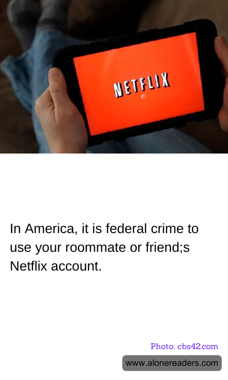 In America, it is federal crime to use your roommate or friend;s Netflix account.