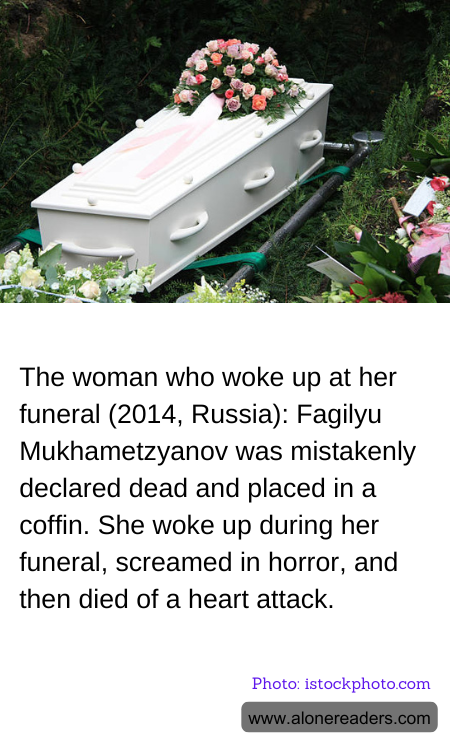 General Knowledge Learning Cards