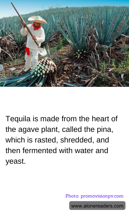 General Knowledge Learning Cards