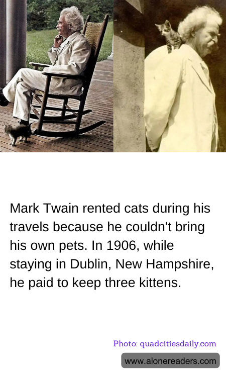 General Knowledge Learning Cards