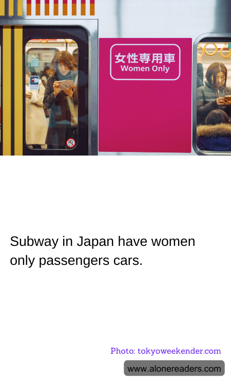 General Knowledge Learning Cards