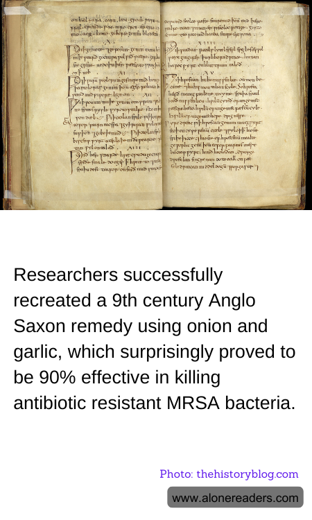 General Knowledge Learning Cards