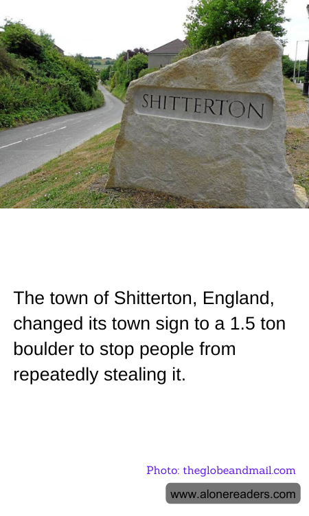 General Knowledge Learning Cards