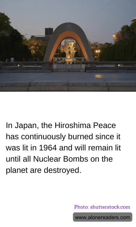 General Knowledge Learning Cards