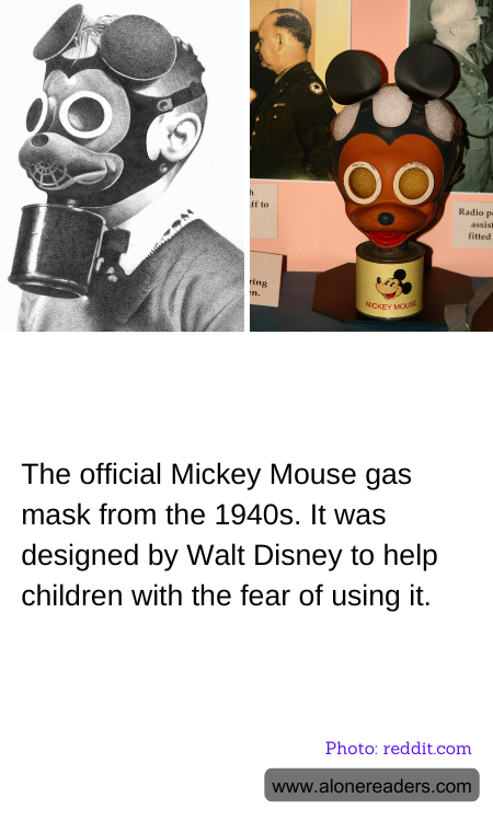 General Knowledge Learning Cards