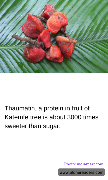 General Knowledge Learning Cards