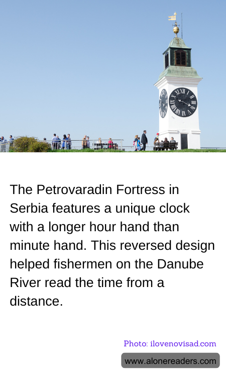 General Knowledge Learning Cards