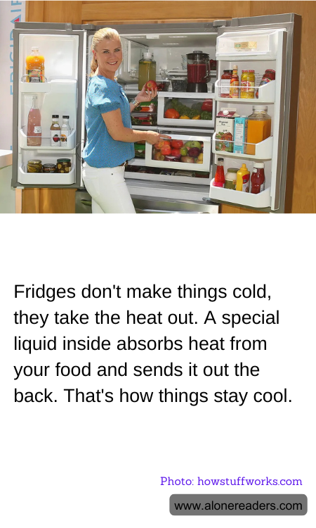 Fridges don't make things cold, they take the heat out. A special liquid inside absorbs heat from your food and sends it out the back. That's how things stay cool.