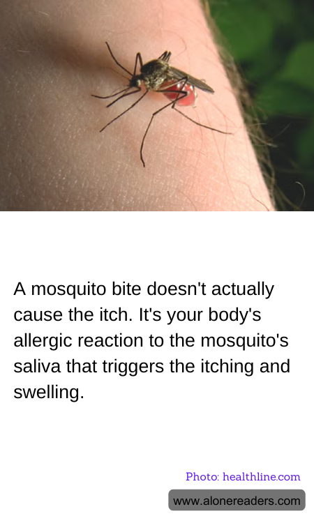 A mosquito bite doesn't actually cause the itch. It's your body's allergic reaction to the mosquito's saliva that triggers the itching and swelling.