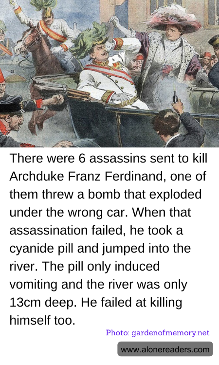 General Knowledge Learning Cards