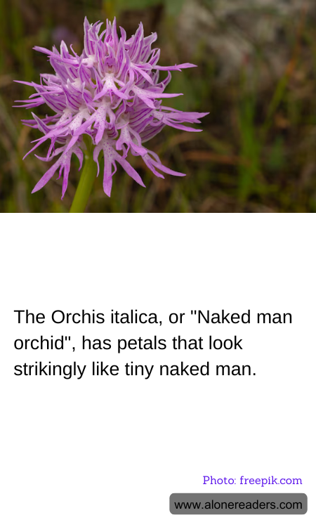 General Knowledge Learning Cards