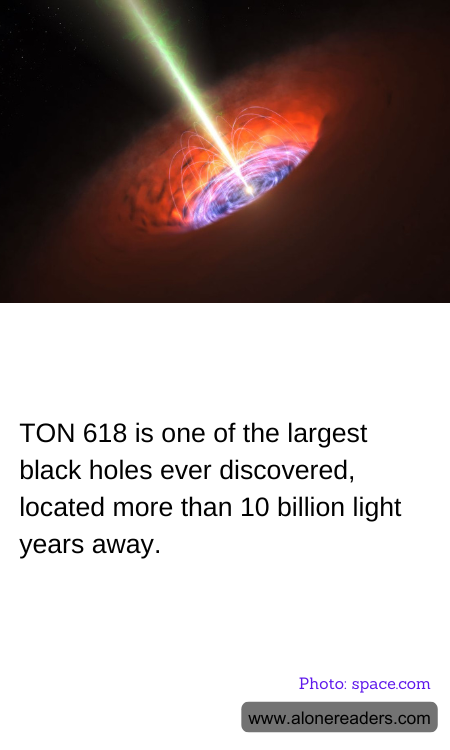 General Knowledge Learning Cards