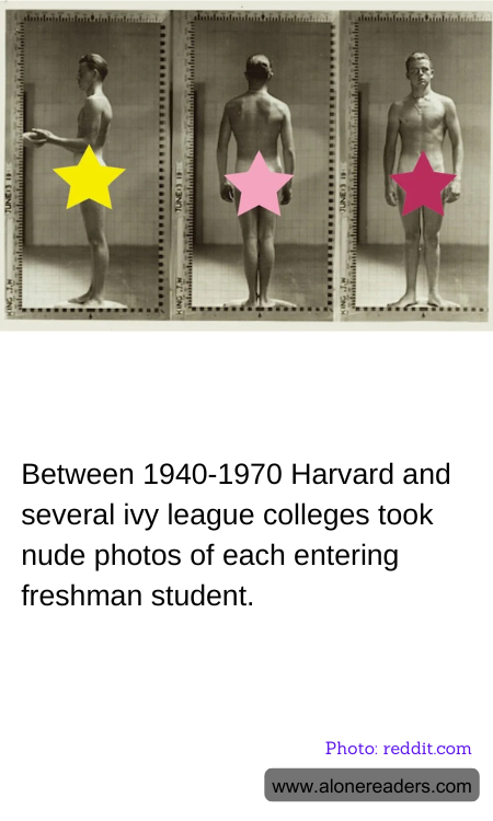 General Knowledge Learning Cards