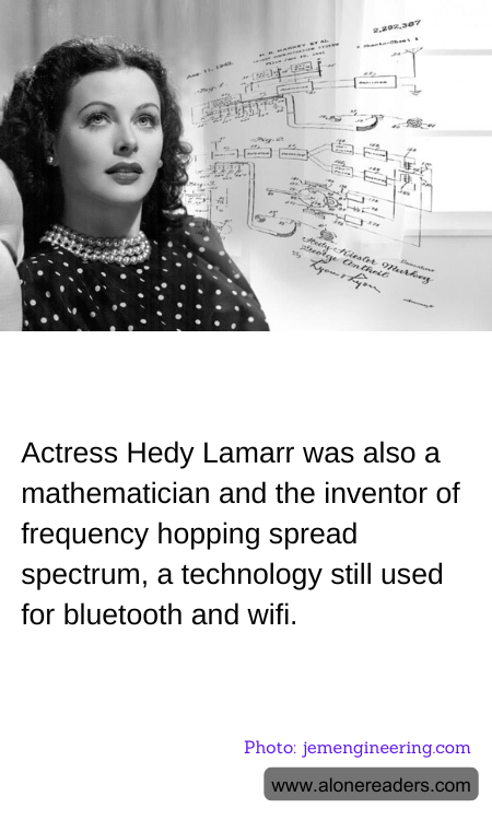 General Knowledge Learning Cards