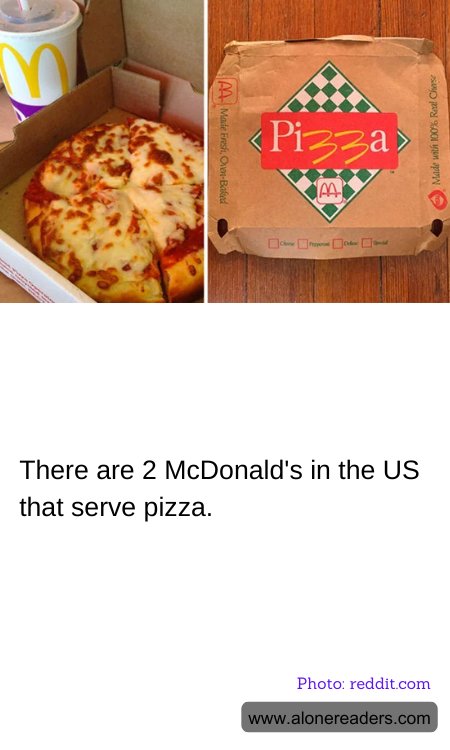 General Knowledge Learning Cards