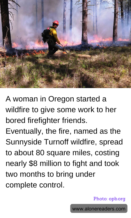 General Knowledge Learning Cards