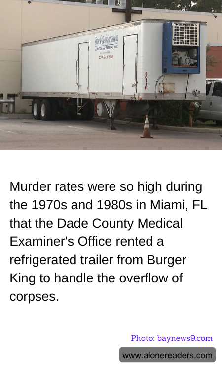 General Knowledge Learning Cards