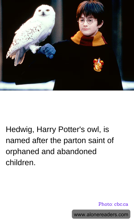 General Knowledge Learning Cards