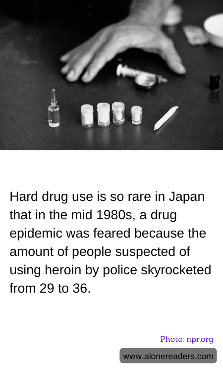 General Knowledge Learning Cards