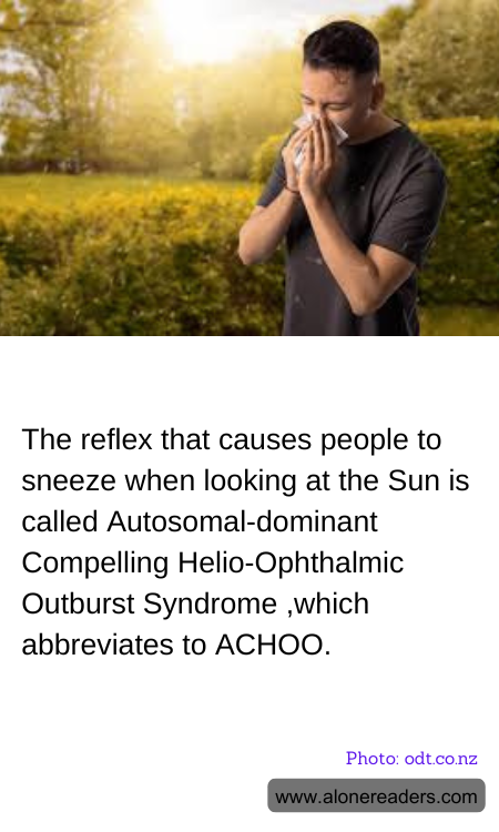 General Knowledge Learning Cards