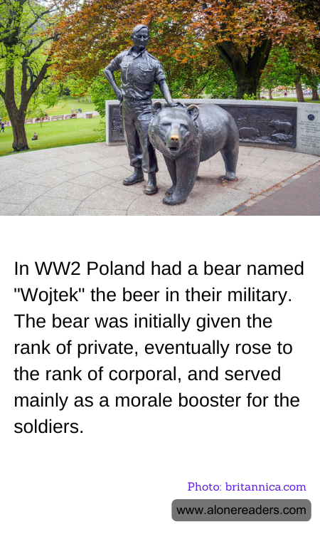 In WW2 Poland had a bear named "Wojtek" the beer in their military. The bear was initially given the rank of private, eventually rose to the rank of corporal, and served mainly as a morale booster for the soldiers.