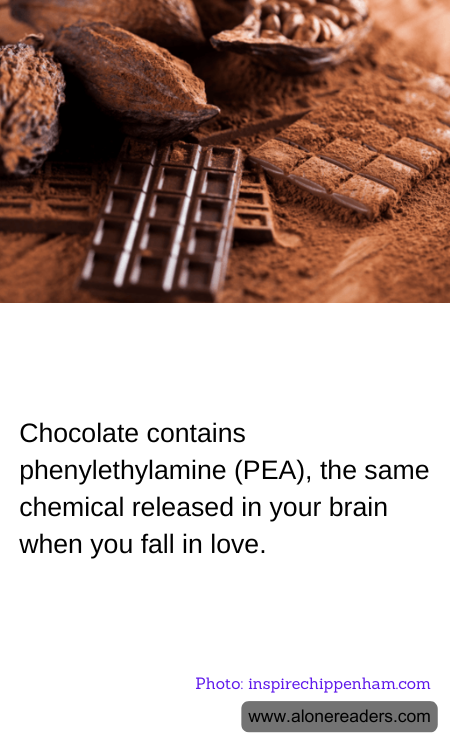 Chocolate contains phenylethylamine (PEA), the same chemical released in your brain when you fall in love.