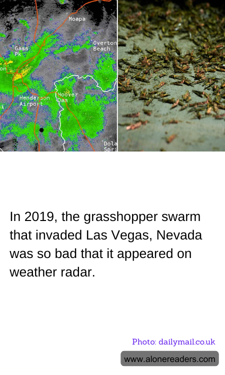 General Knowledge Learning Cards