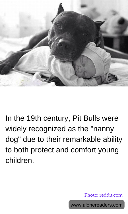 General Knowledge Learning Cards