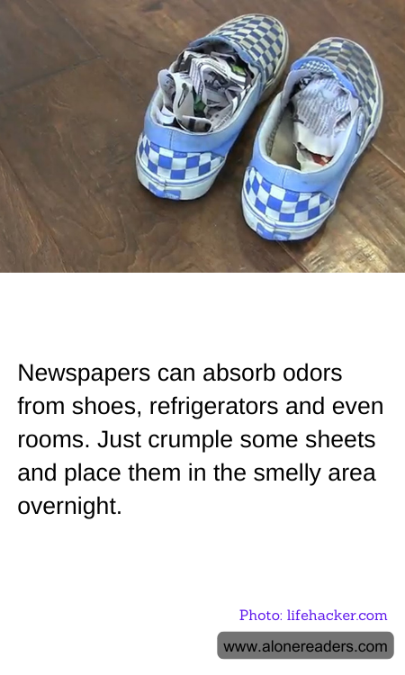 General Knowledge Learning Cards