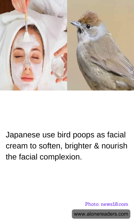 Japanese use bird poops as facial cream to soften, brighter & nourish the facial complexion.