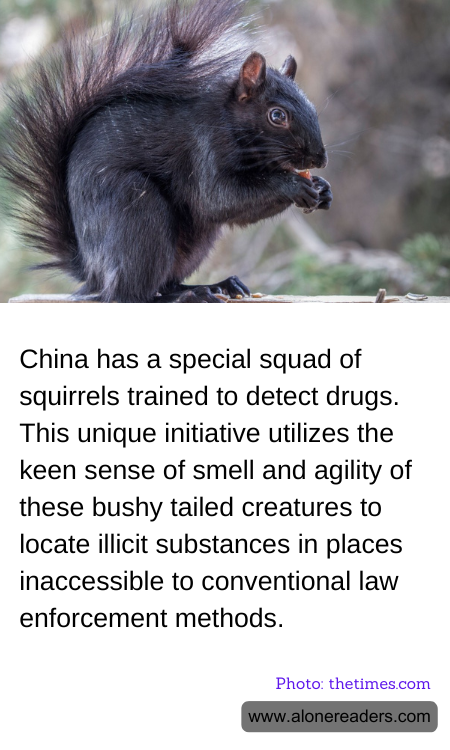 General Knowledge Learning Cards