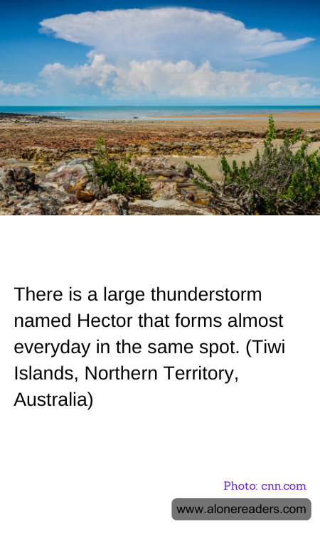 General Knowledge Learning Cards