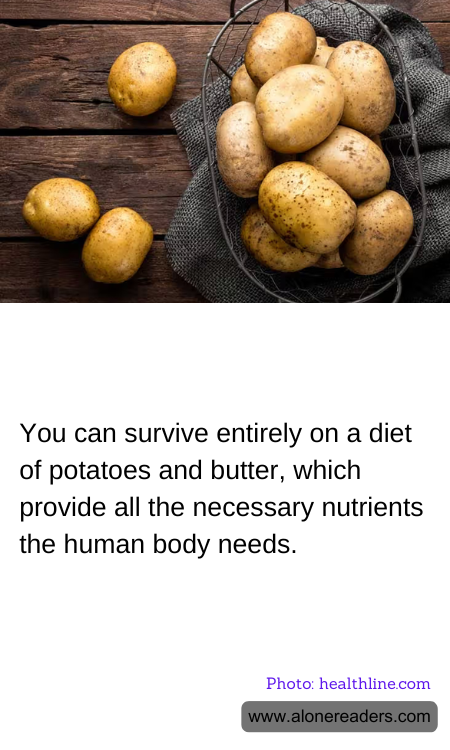 General Knowledge Learning Cards