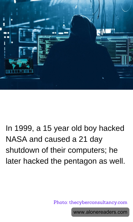 General Knowledge Learning Cards