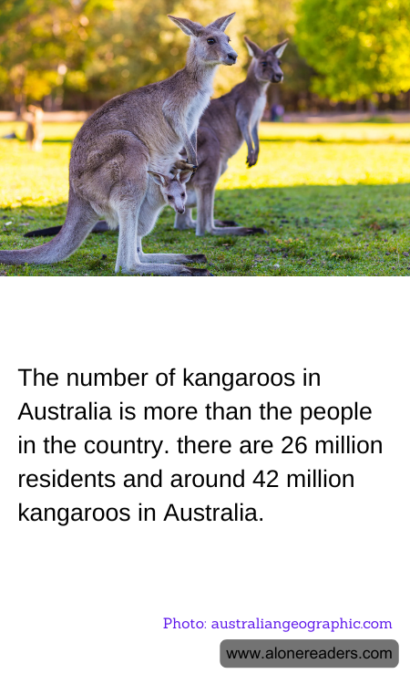 General Knowledge Learning Cards