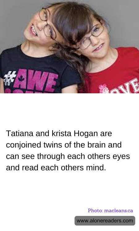 General Knowledge Learning Cards