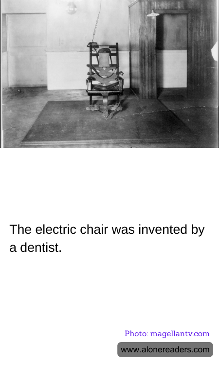 General Knowledge Learning Cards