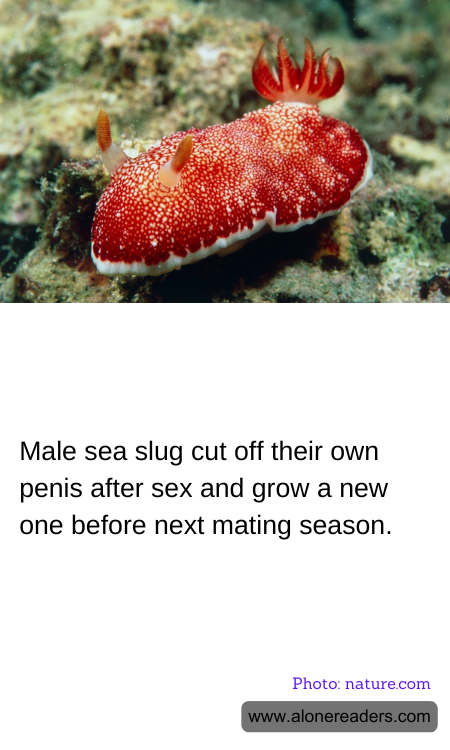 Male sea slug cut off their own penis after sex and grow a new one before next mating season.